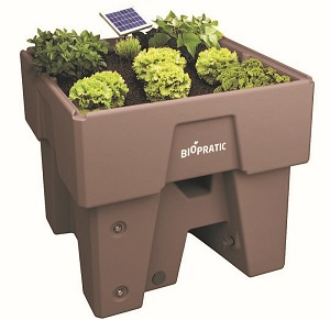 Jardin-avec-kit-solaire-d-arrosage